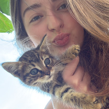 ˚.⋆✮ melisa ✮⋆.˚