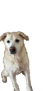 srishti