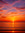 Sophie Scott