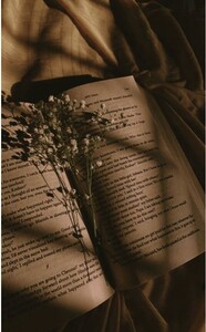 I am just a reader مجرد قارئة