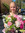 Elli Arumägi