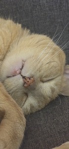 Mon Martinez