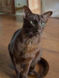 Helen