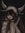 lyds ˙⋆✮⋆˚࿔