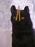 Julie