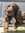 -X_stitch626_x 