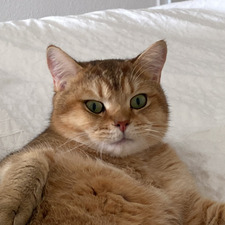 Susan