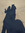 Desireé