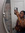 shanell