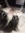 Popy Ba...