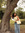 member photo member photo