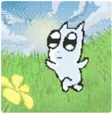 Coty