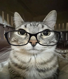 cheriepaw