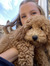 Lilli