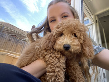Lilli