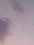 Tiara -...