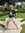 member photo member photo