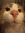 member photo member photo