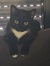 Emsel