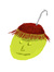 Parth G
