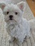 Queen_Lucy