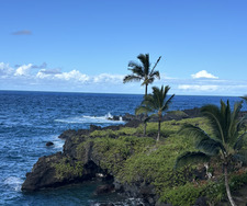 Samantha