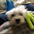 she