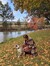 Autumn ...
