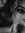 Samantha Hass