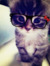 Faiqa