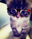 Faiqa