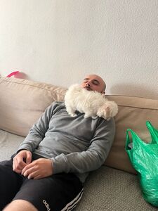 Carlos