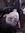 wampor
