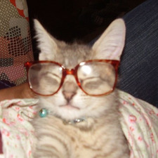 jackie