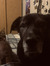 Rylee W...