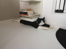 bookoobook