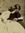 E. | 23 comments