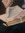ريداء السيباني