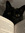 Kat