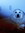Guppy
