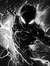 Kayden ...