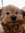 Jenny