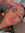 Candy Rodriguez