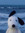 Miri