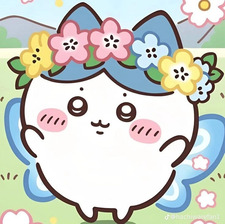 Marcy