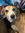 member photo member photo