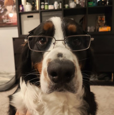 puppy!