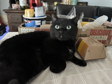 Ben