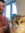 member photo member photo