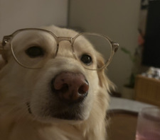 Maddie